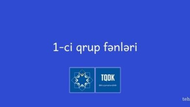 1 ci qrup fenleri
