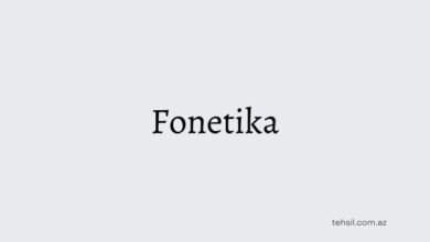 Fonetika
