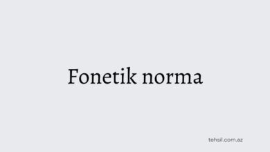 Fonetik norma