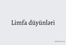 Limfa duyunleri