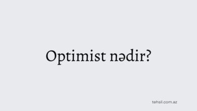 Optimisit nedir