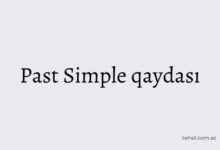 Past Simple qaydasi