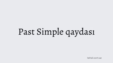 Past Simple qaydasi