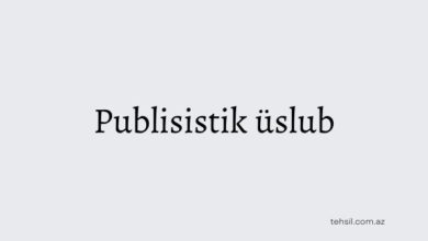 Publisistik uslub