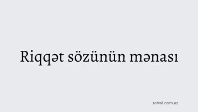 Riqqet sozunun menası