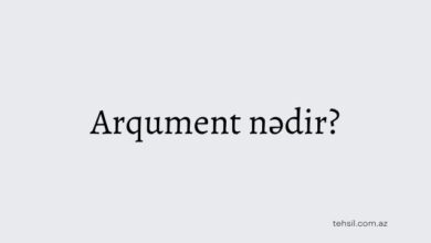 arqument nedir