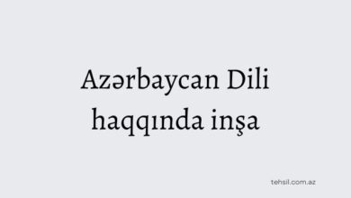 Azerbaycan dili haqqinda insa
