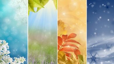 Fesillerin deyismesi haqqinda melumat