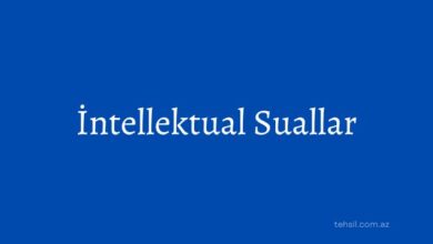 İntellektual suallar