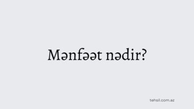Menfeet nedir