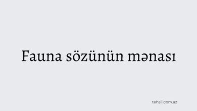 Fauna sözünün mənası