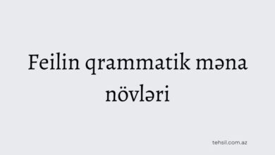 Feilin qrammatik məna növləri