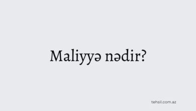 Maliyye nedir