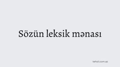 Sözün leksik mənası