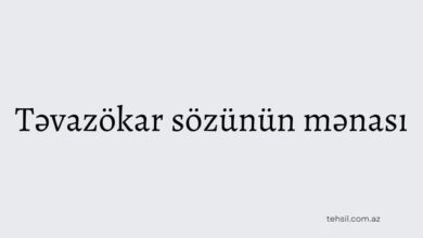 Təvazökar sözünün mənası