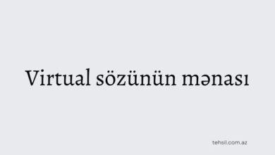 Virtual sözünün mənası