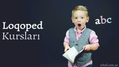 Loqoped Kurslari