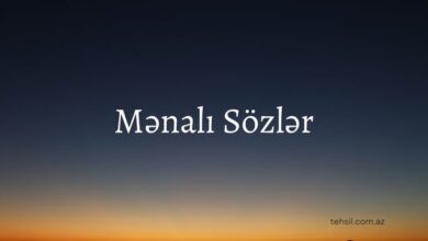 menali sozler