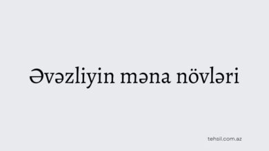 Əvəzliyin məna növləri