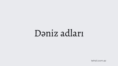 Deniz adlari