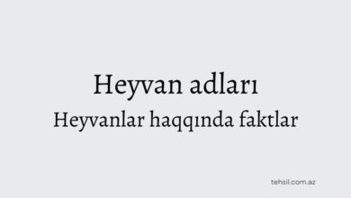 Heyvan adlari