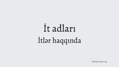 İt adlari