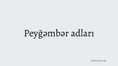 Peygember adlari