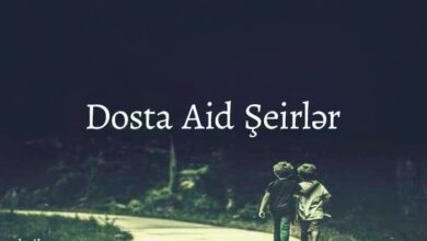 Dosta Aid Şeir