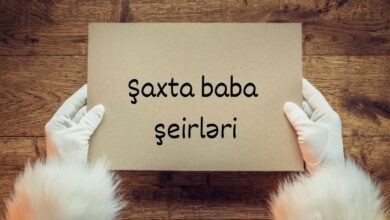 Saxta baba seiri