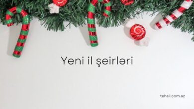 Yeni il seirleri