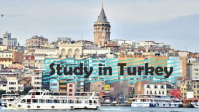 Türkiyədə pulsuz təhsil