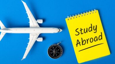 Xaricdə təhsil proqramları