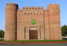 gence xanligi haqqinda melumat