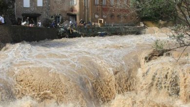 sel haqqında məlumat