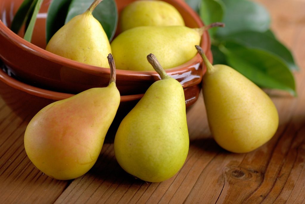 armud haqqında melumat